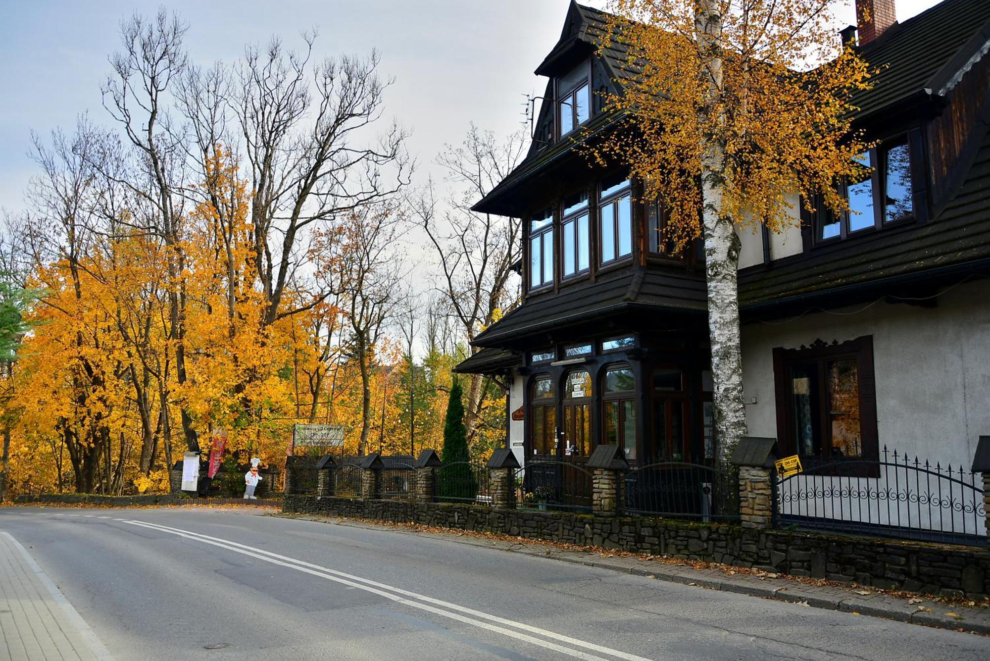 Czarna Willa Zakopane Dış mekan fotoğraf